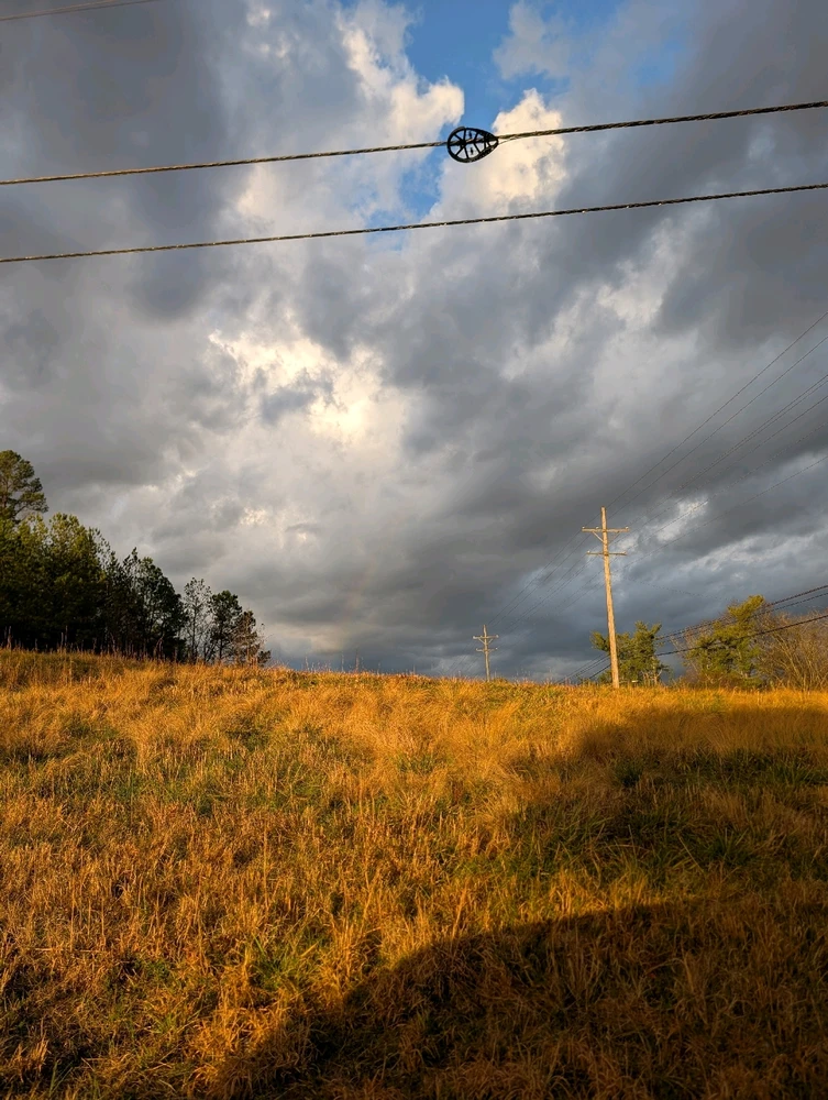 Image uploaded by Veronica