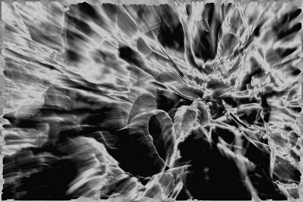 GIF hochgeladen von Dennis