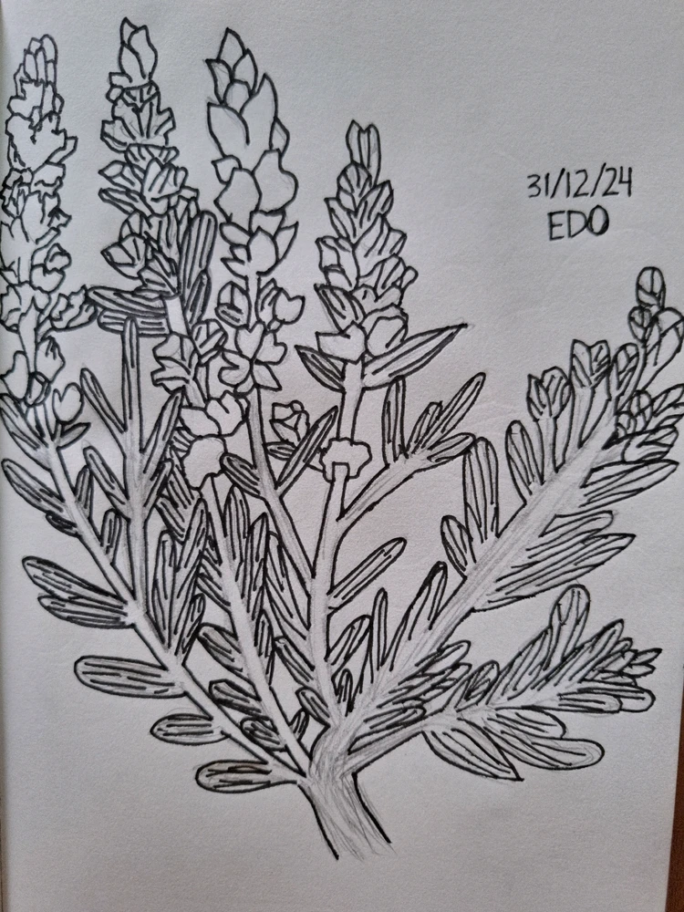 Image uploaded by Edo