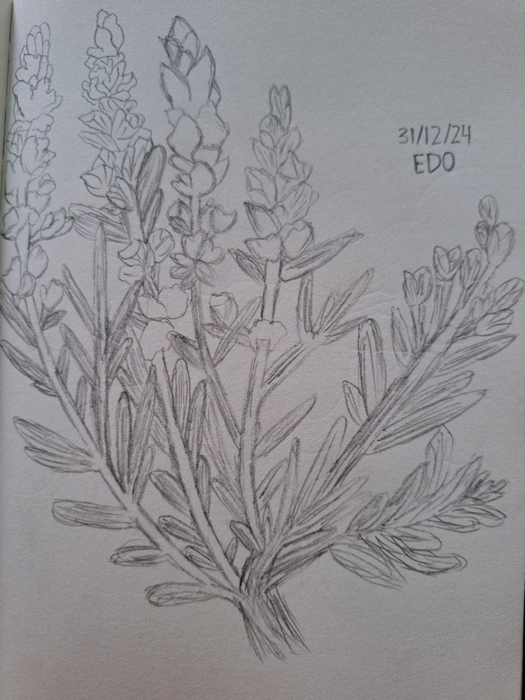 Image uploaded by Edo