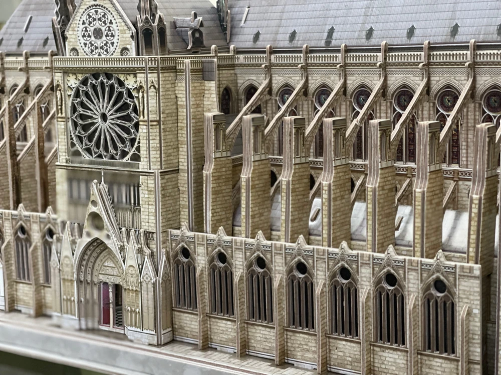 Image uploaded by Saleh