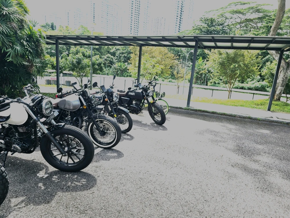 Nice photo so i made this as a cover piece.