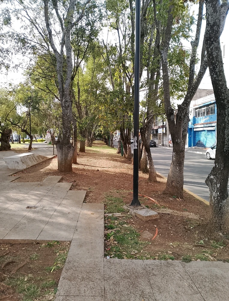 Image uploaded by Ruben