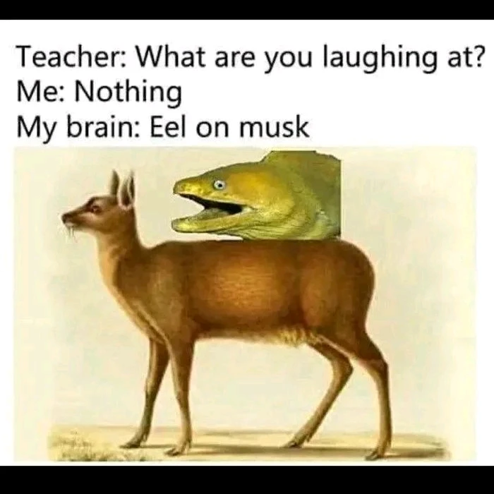 Obrázek nahrál Mirek