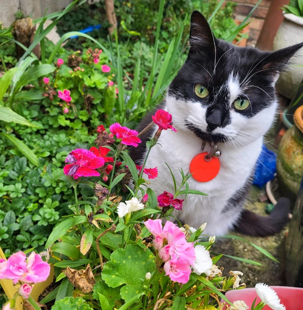 GIF uploaded by Sabreena