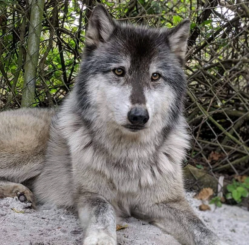 Image uploaded by Michelle