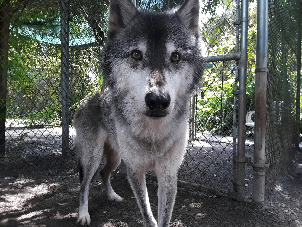 Image uploaded by Michelle