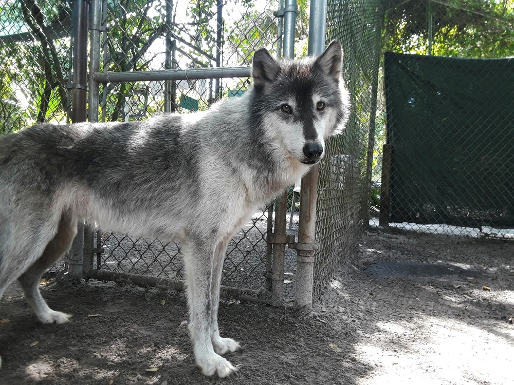 Image uploaded by Michelle