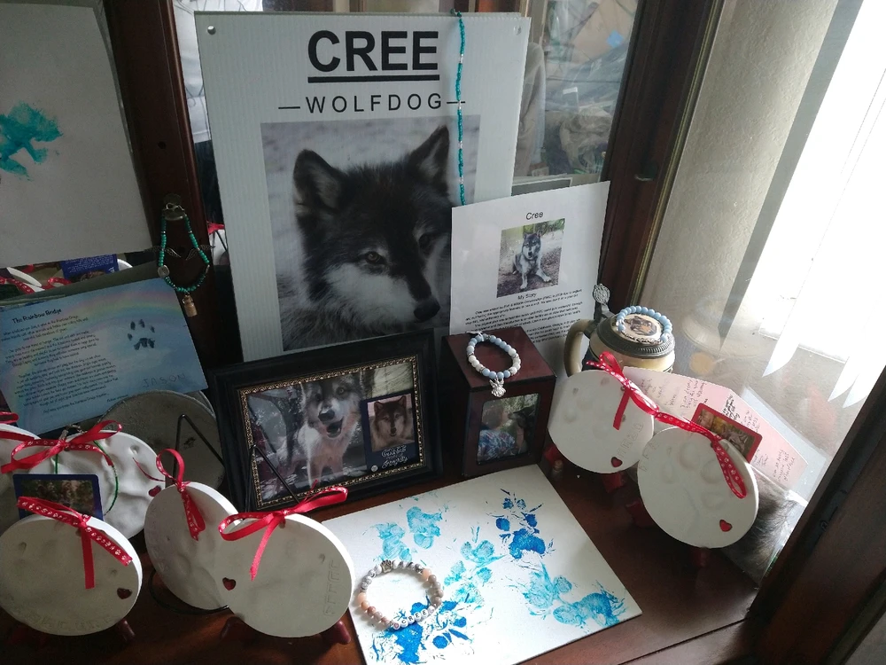 Image uploaded by Michelle