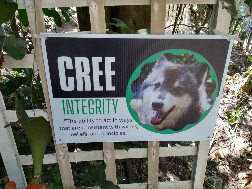 Image uploaded by Michelle