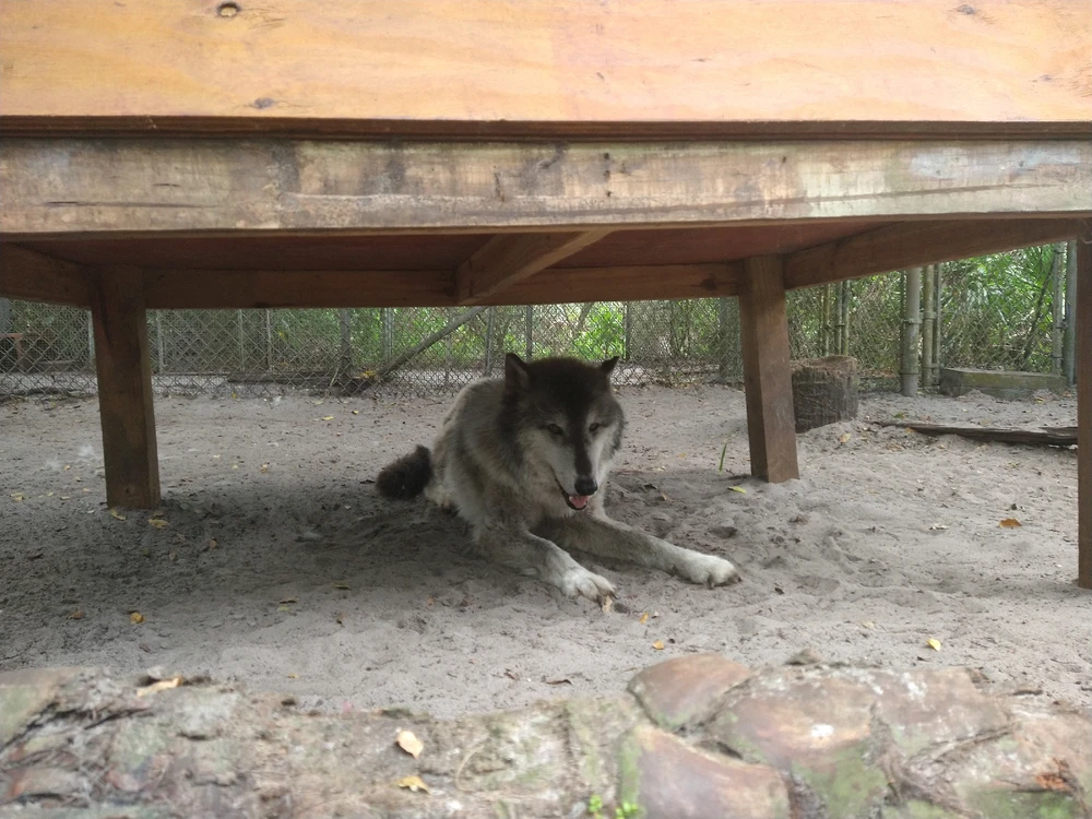 Image uploaded by Michelle