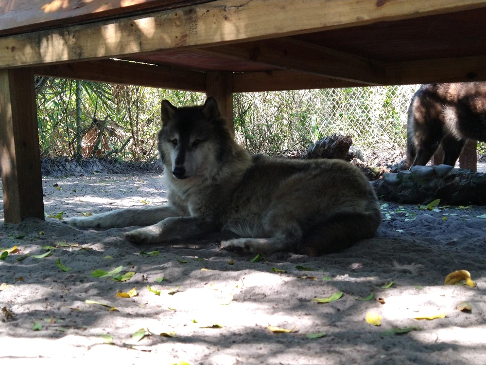 Image uploaded by Michelle