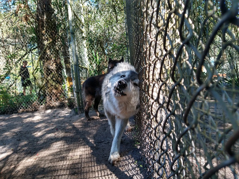 Image uploaded by Michelle