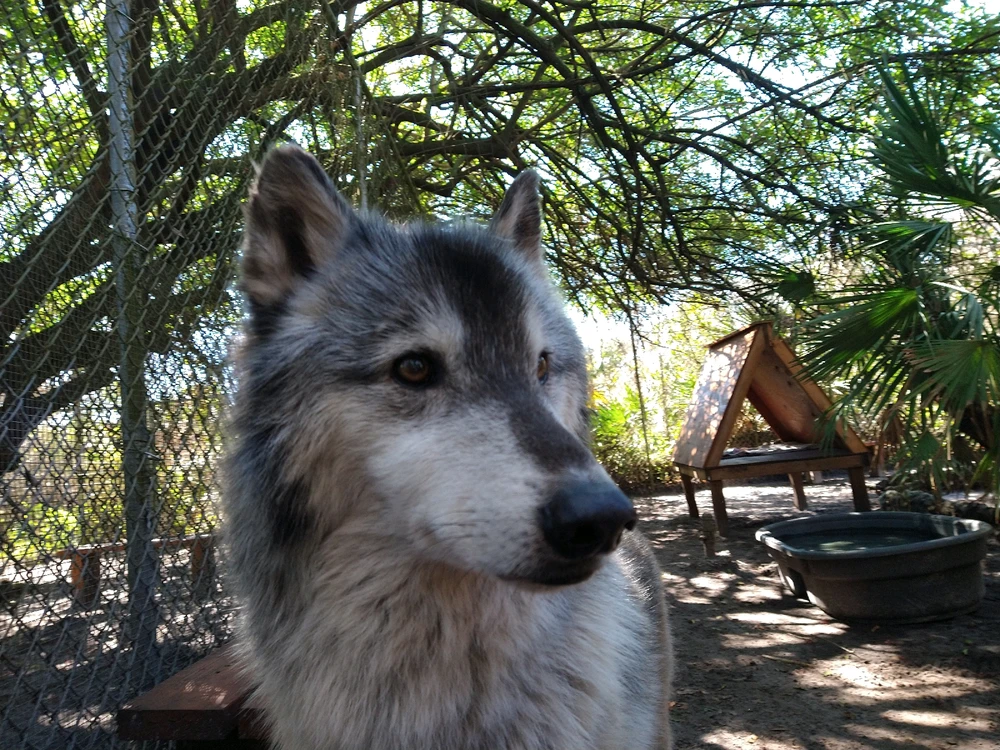 Image uploaded by Michelle