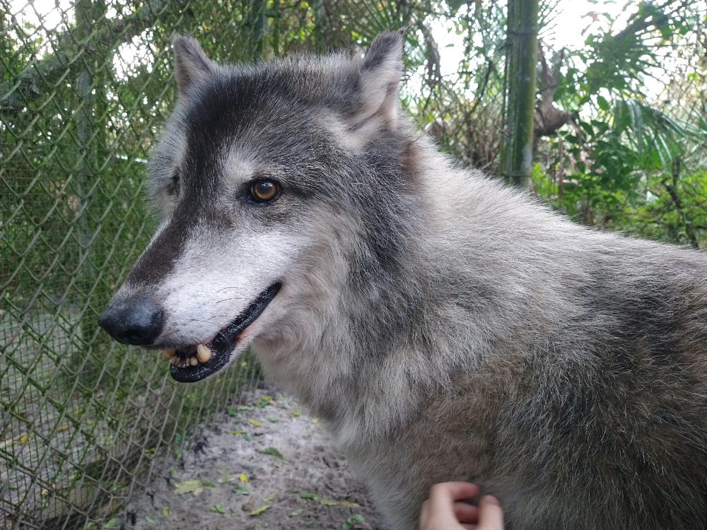 Image uploaded by Michelle