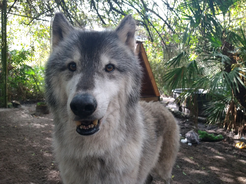 Image uploaded by Michelle