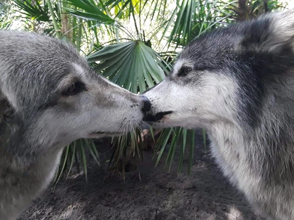 Image uploaded by Michelle