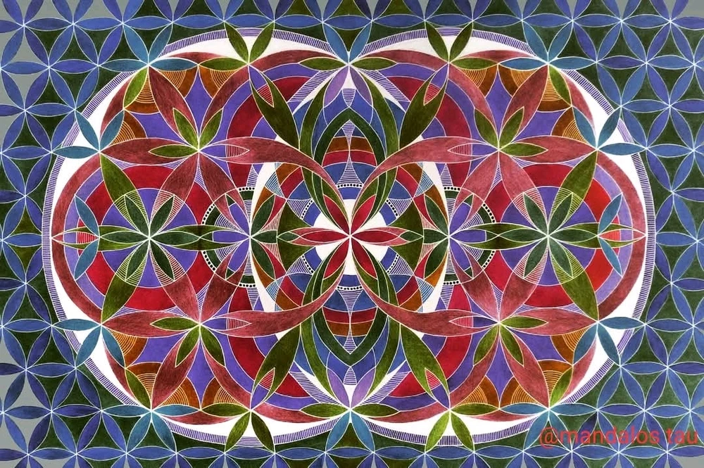 Vesica piscis + flower of life