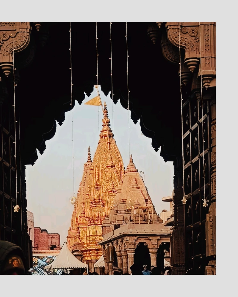 GIF diunggah dening lakshay gome