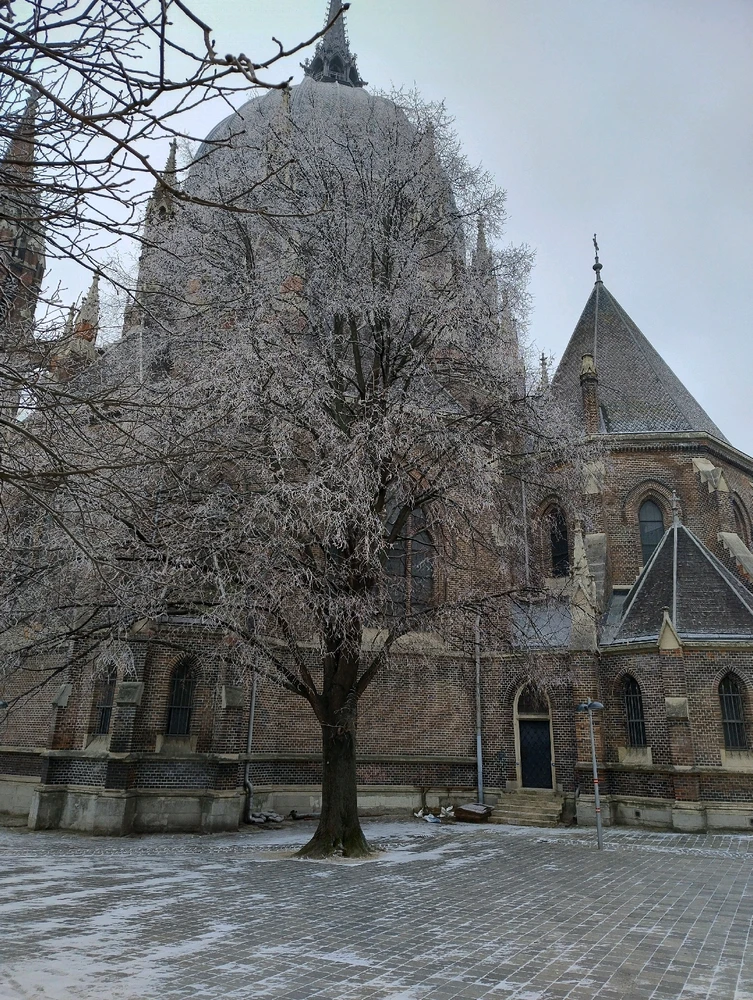 GIF hochgeladen von Tomas