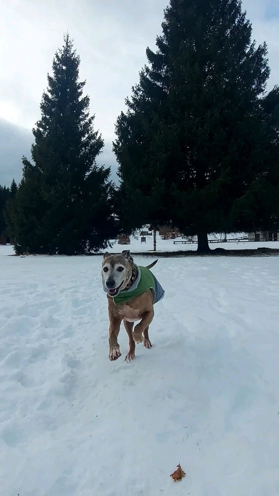 Immagine caricata da Daniele