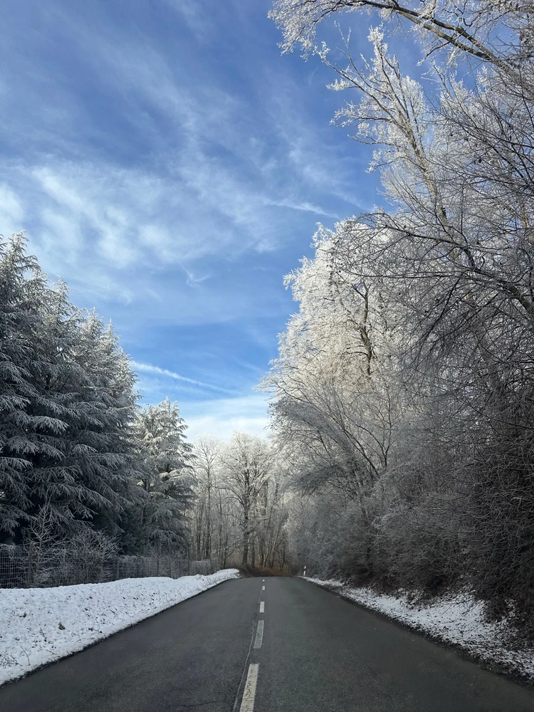 Alexa által feltöltött GIF