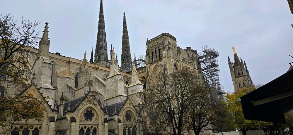 My Adventure into Bordeaux and the surrounding countryside of Sauveterre-de-Guyenne 🇨🇵