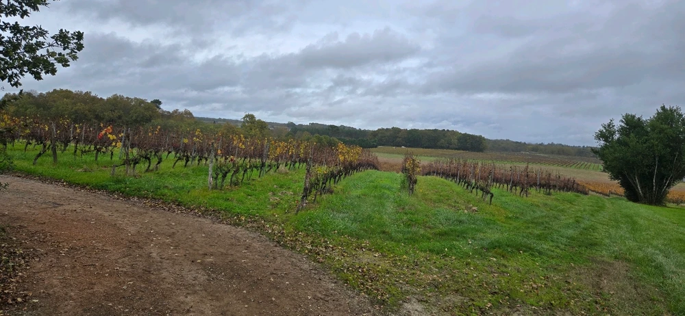 My Adventure into Bordeaux and the surrounding countryside of Sauveterre-de-Guyenne 🇨🇵