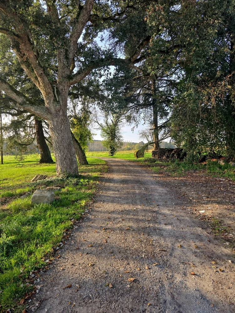 My Adventure into Bordeaux and the surrounding countryside of Sauveterre-de-Guyenne 🇨🇵