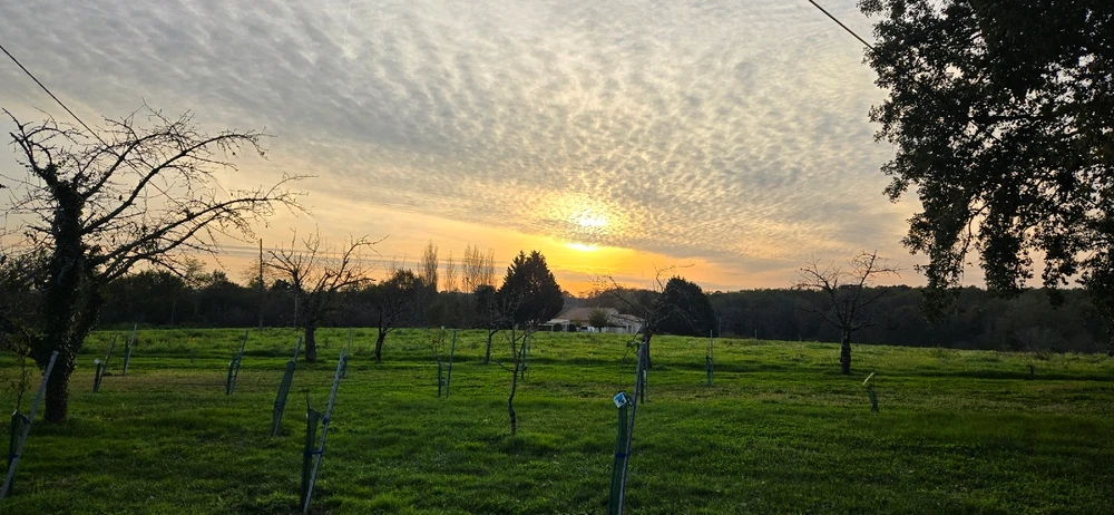 My Adventure into Bordeaux and the surrounding countryside of Sauveterre-de-Guyenne 🇨🇵