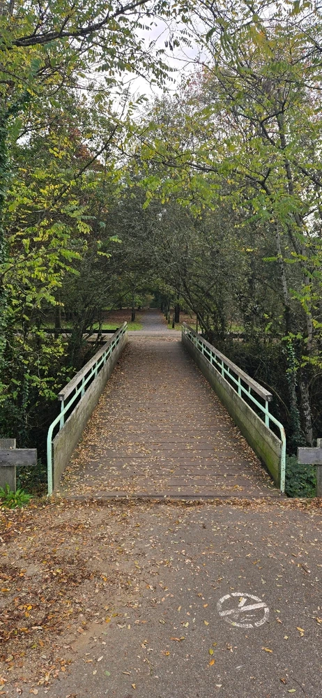My Adventure into Bordeaux and the surrounding countryside of Sauveterre-de-Guyenne 🇨🇵