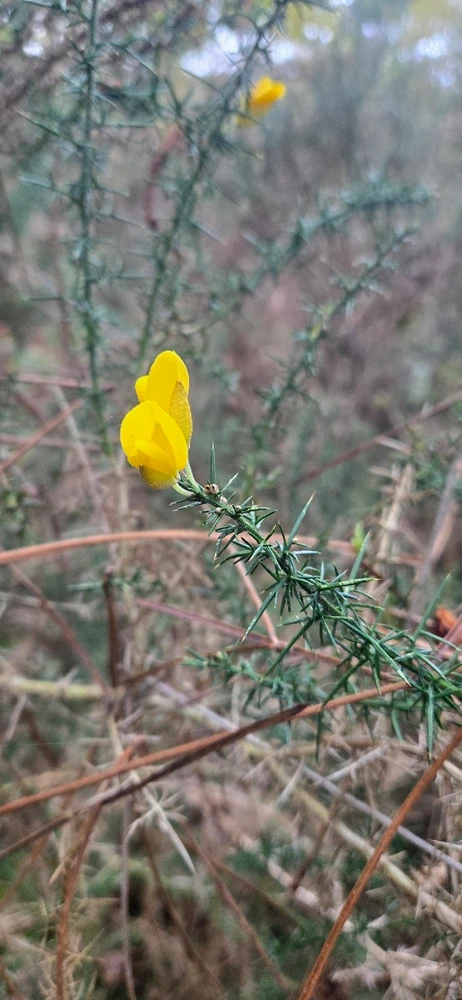 My Adventure into Bordeaux and the surrounding countryside of Sauveterre-de-Guyenne 🇨🇵