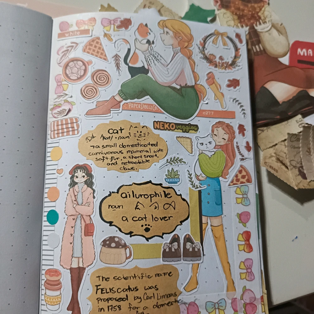 Image uploaded by Matcha