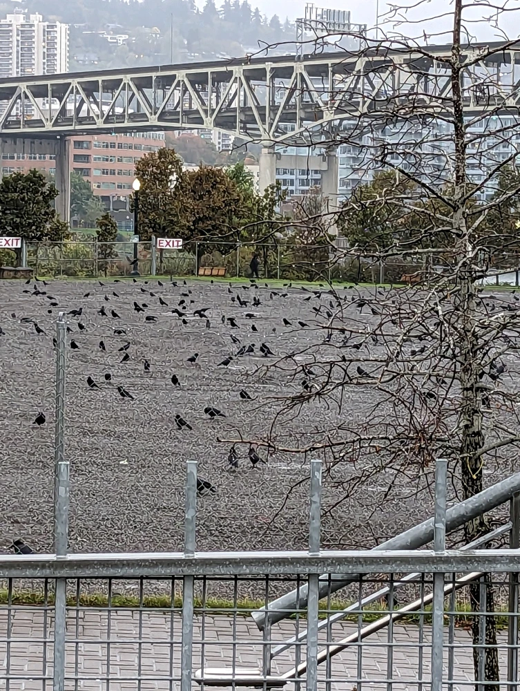 GIF diunggah dening B.