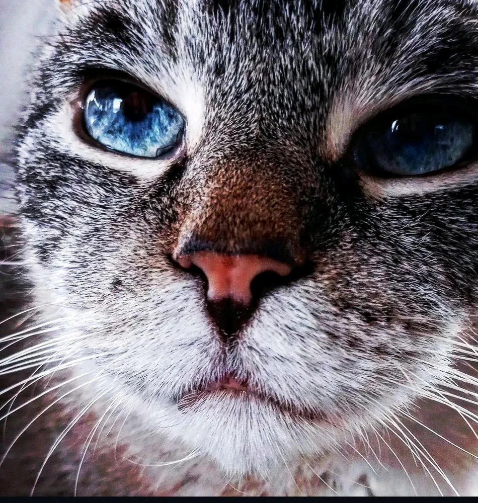 Зображення завантажив Christina