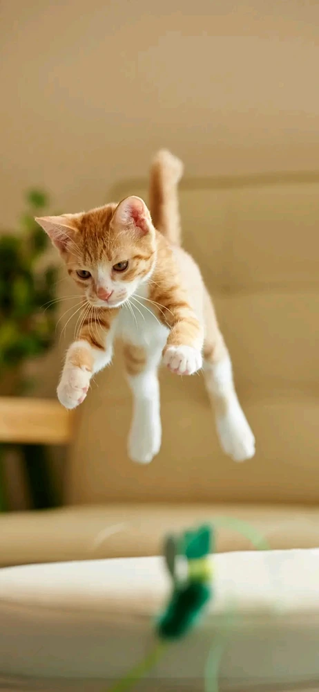 GIF uploaded by Meriç