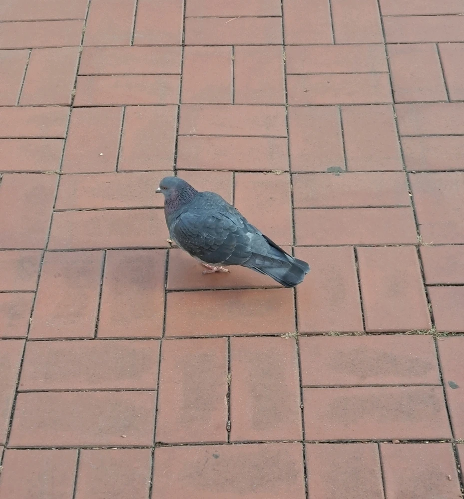 GIF uploaded by June
