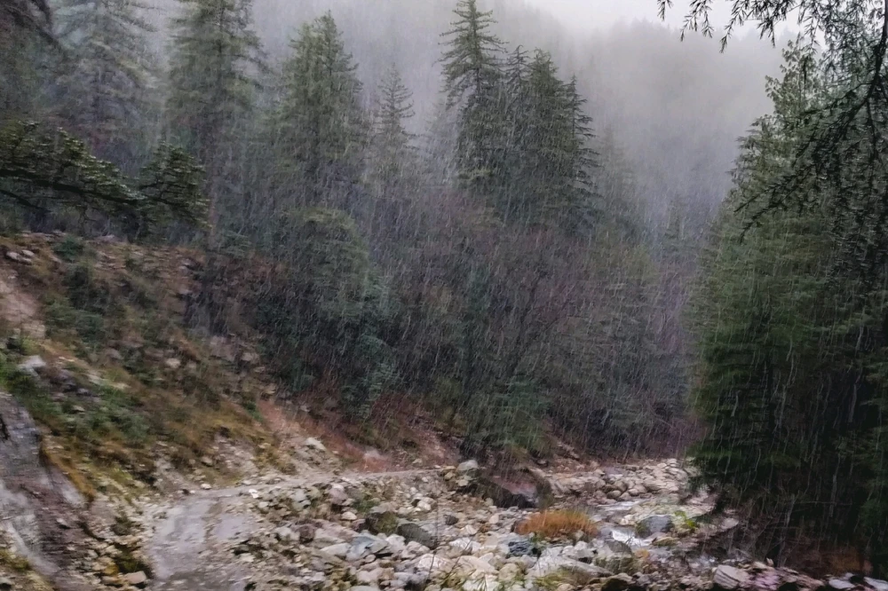 Arijit上传的GIF