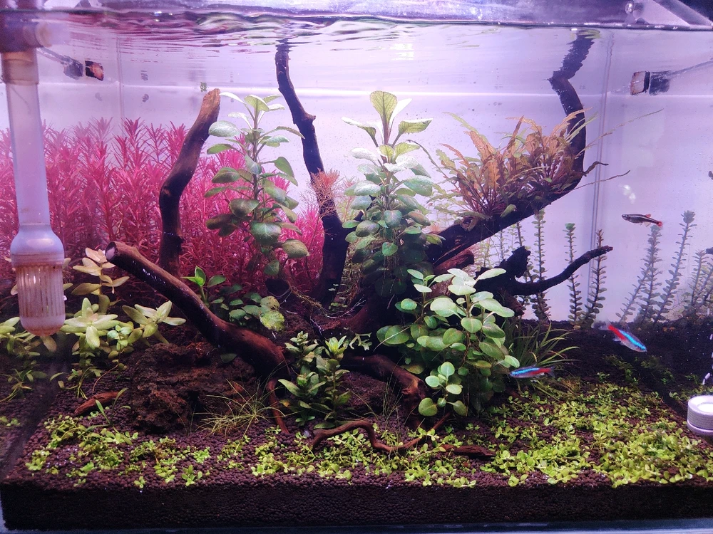 GIF uploaded by sebastian