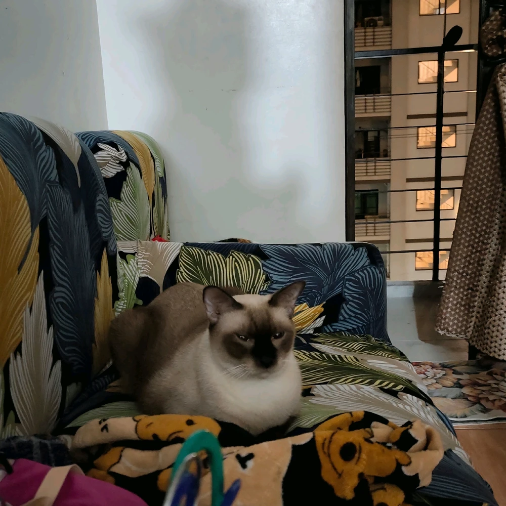 GIF na in-upload ni 𝓙𝓪𝔂𝓷𝓮