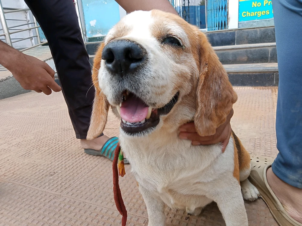 Image uploaded by Bishmay Mohanty