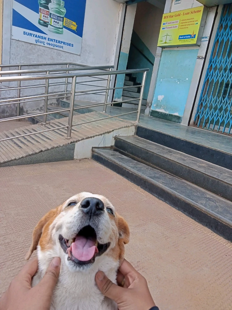 Image uploaded by Bishmay Mohanty