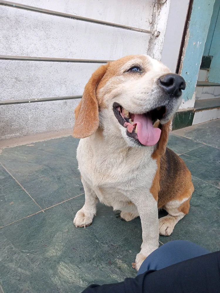 Image uploaded by Bishmay Mohanty