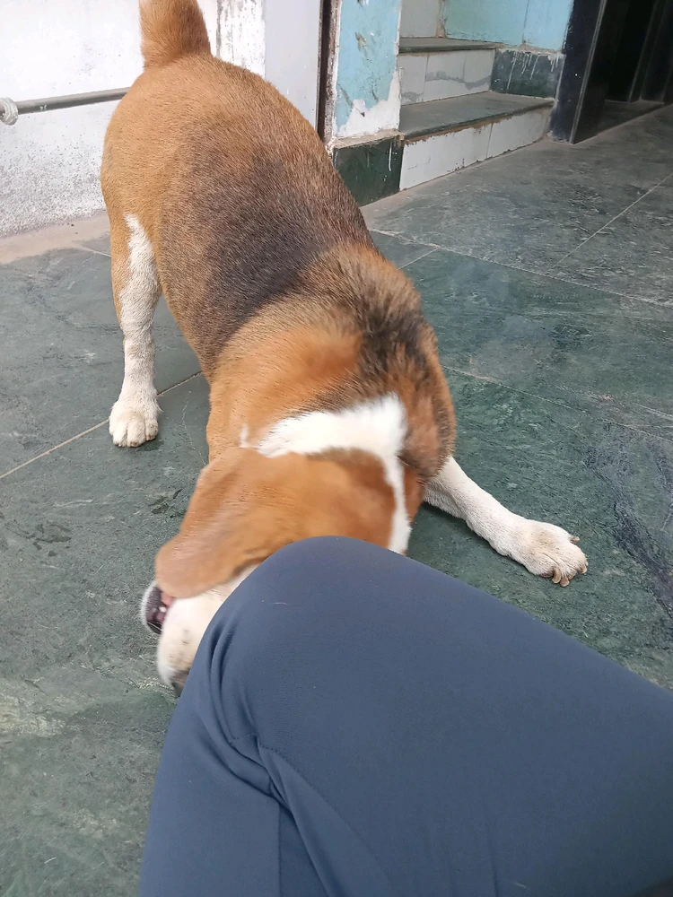 Image uploaded by Bishmay Mohanty