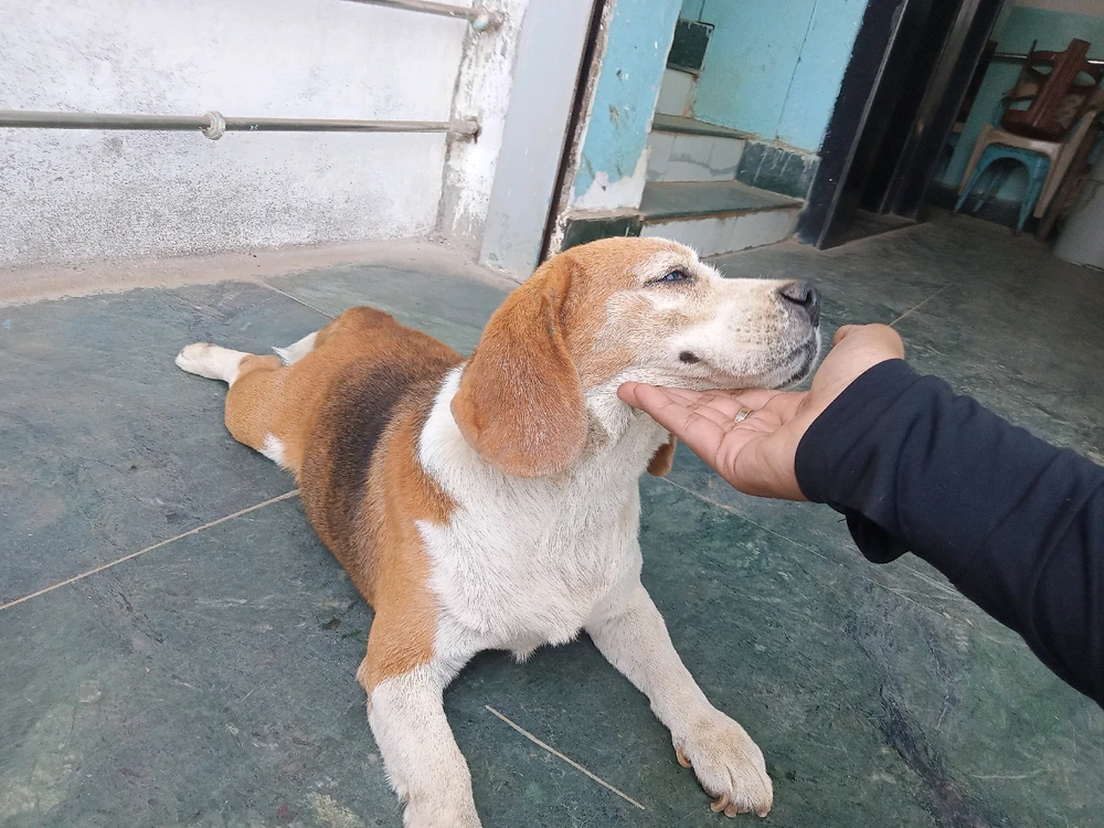 Image uploaded by Bishmay Mohanty