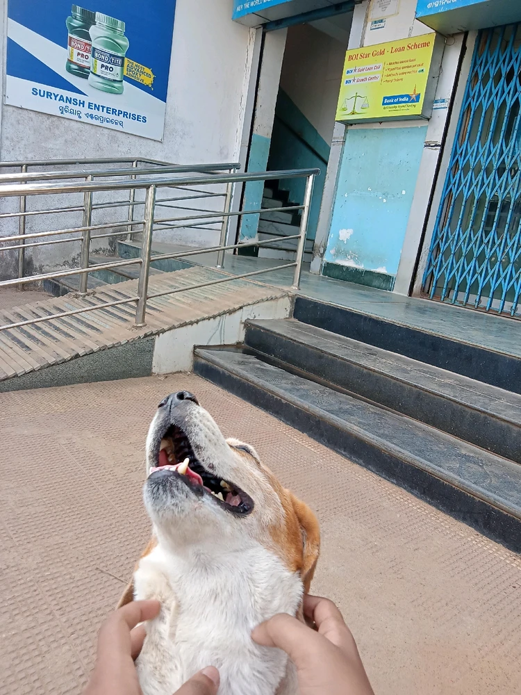 Image uploaded by Bishmay Mohanty