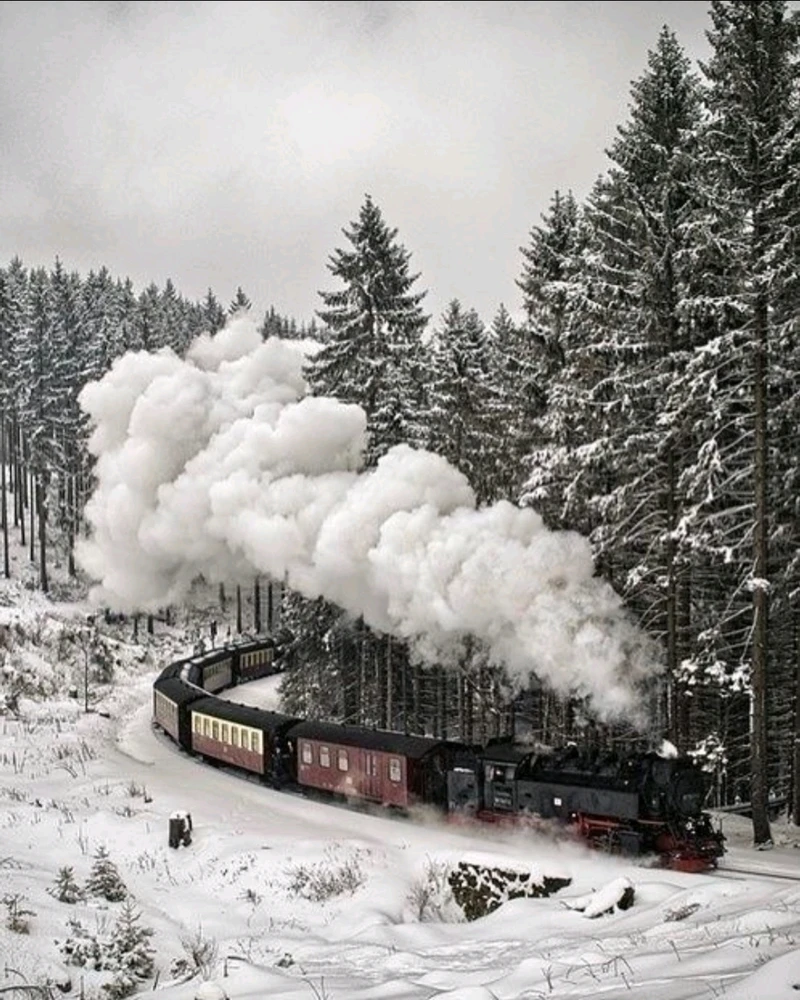 GIF ajouté par Laeti 💜👻