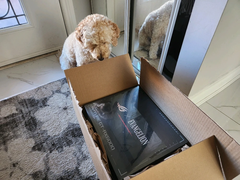 Image uploaded by Dinujan