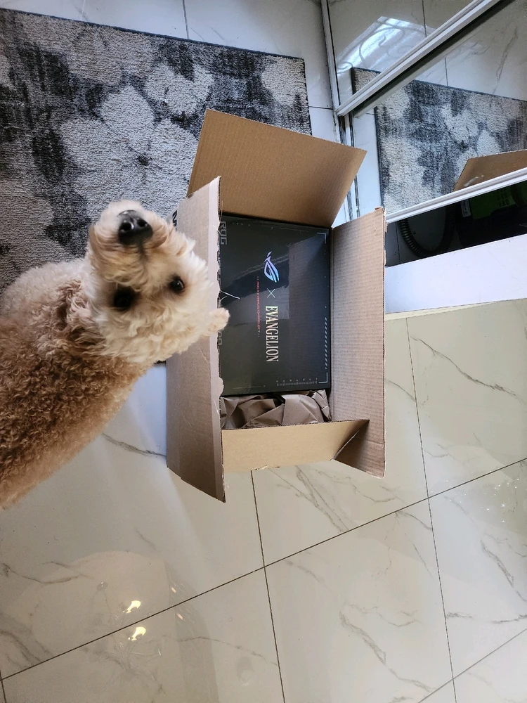 Image uploaded by Dinujan