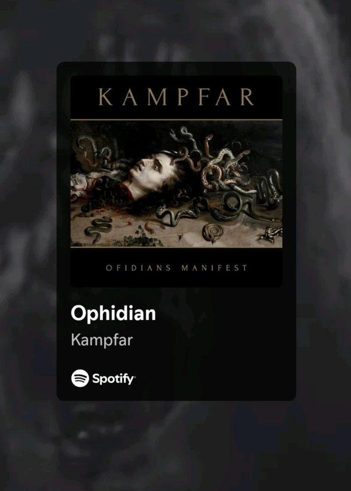 GIF uploaded by Zach ♰